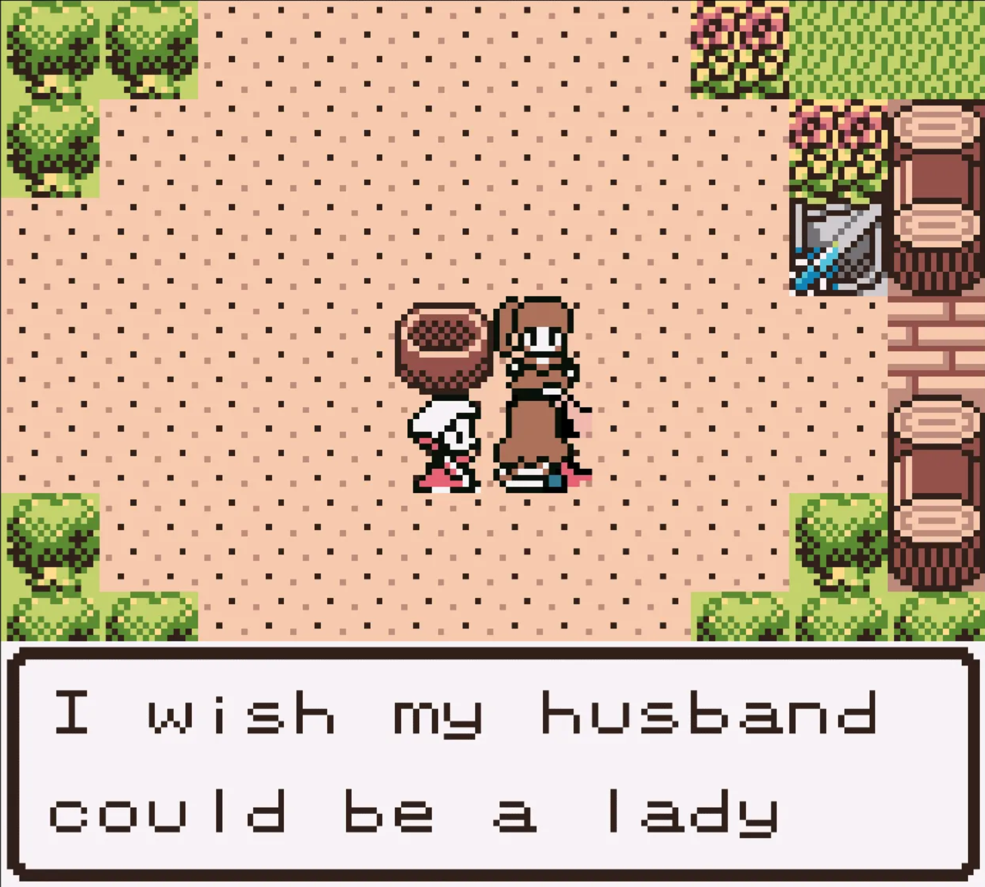 Screenshot of Dragon Quest III (GBC). The hero is talking to a woman. A textbox reads: "I wish my husband could be a lady"